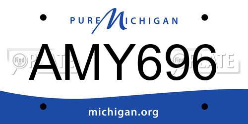 AMY696 Michigan License Plate