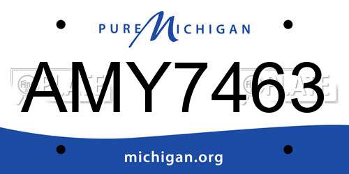 AMY7463 Michigan License Plate