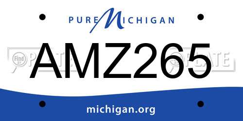 AMZ265 Michigan License Plate