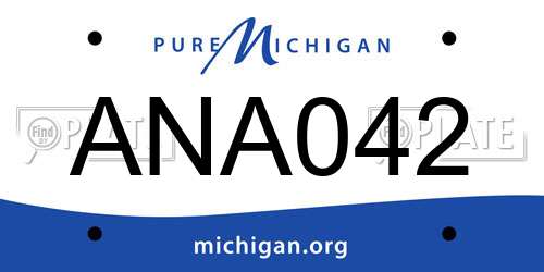 ANA042 Michigan License Plate