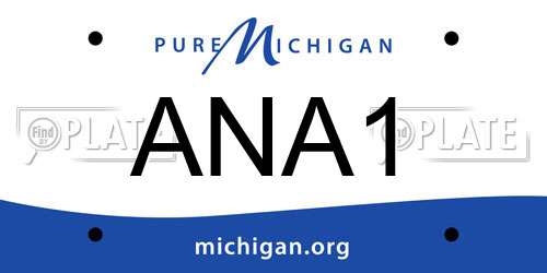 ANA1 Michigan License Plate