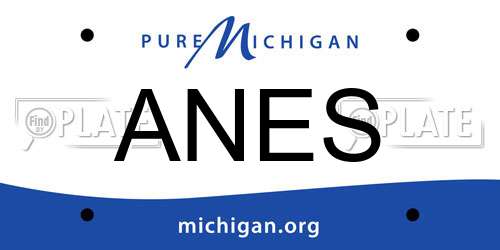 ANES Michigan License Plate