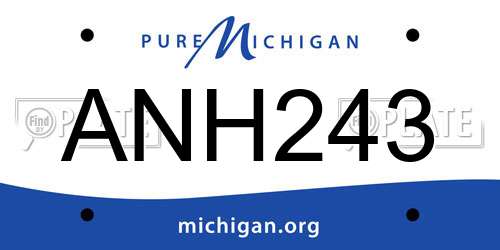 ANH243 Michigan License Plate