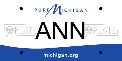 ANN Michigan License Plate