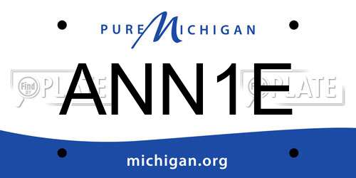ANN1E Michigan License Plate