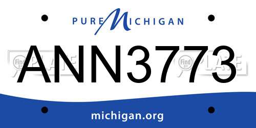 ANN3773 Michigan License Plate