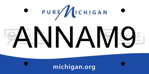 ANNAM9 Michigan License Plate