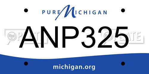 ANP325 Michigan License Plate
