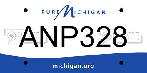 ANP328 Michigan License Plate