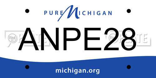 ANPE28 Michigan License Plate