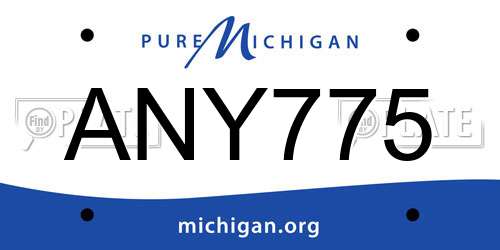 ANY775 Michigan License Plate