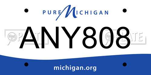 ANY808 Michigan License Plate