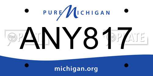 ANY817 Michigan License Plate