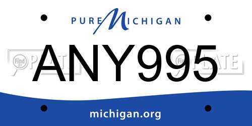 ANY995 Michigan License Plate