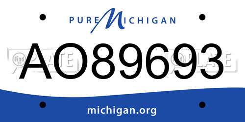 AO89693 Michigan License Plate