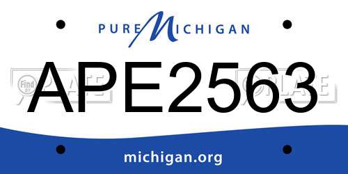 APE2563 Michigan License Plate