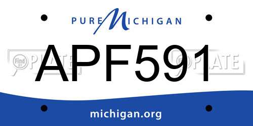 APF591 Michigan License Plate