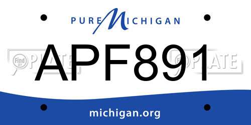 APF891 Michigan License Plate