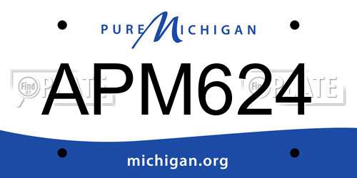 APM624 Michigan License Plate