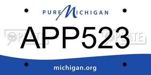 APP523 Michigan License Plate