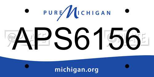 APS6156 Michigan License Plate