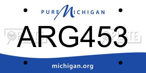 ARG453 Michigan License Plate