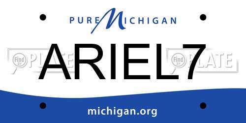 ARIEL7 Michigan License Plate