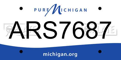 ARS7687 Michigan License Plate