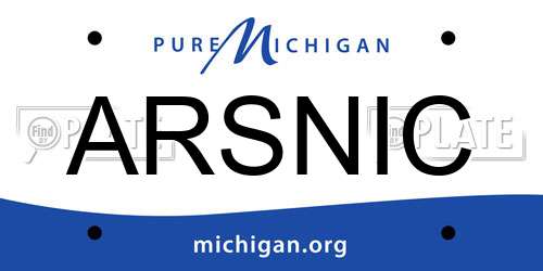 ARSNIC Michigan License Plate