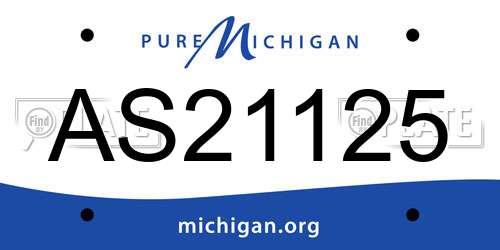 AS21125 Michigan License Plate