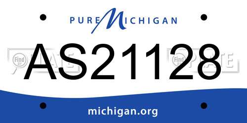 AS21128 Michigan License Plate