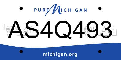 AS4Q493 Michigan License Plate