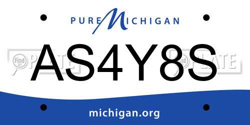 AS4Y8S Michigan License Plate