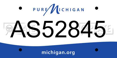 AS52845 Michigan License Plate