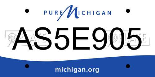 AS5E905 Michigan License Plate