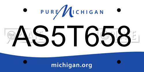 AS5T658 Michigan License Plate