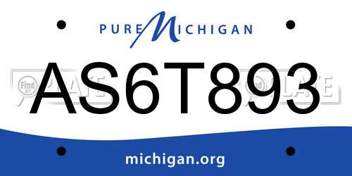 AS6T893 Michigan License Plate