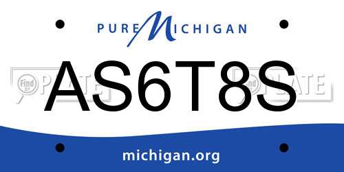 AS6T8S Michigan License Plate
