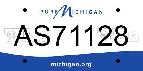 AS71128 Michigan License Plate