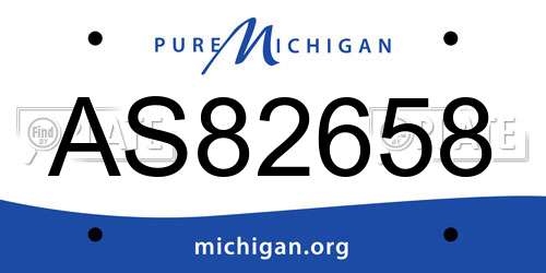 AS82658 Michigan License Plate