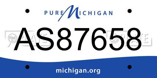 AS87658 Michigan License Plate