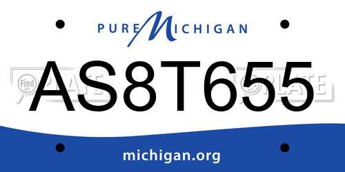 AS8T655 Michigan License Plate
