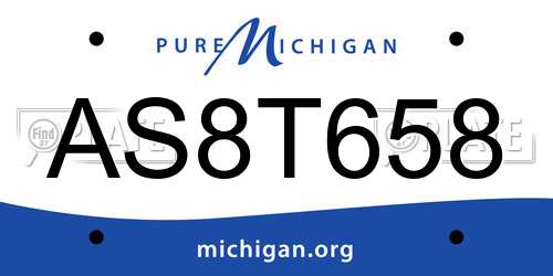 AS8T658 Michigan License Plate