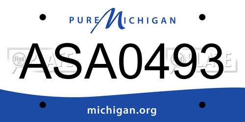 ASA0493 Michigan License Plate