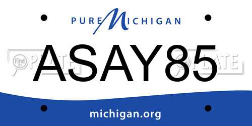 ASAY85 Michigan License Plate