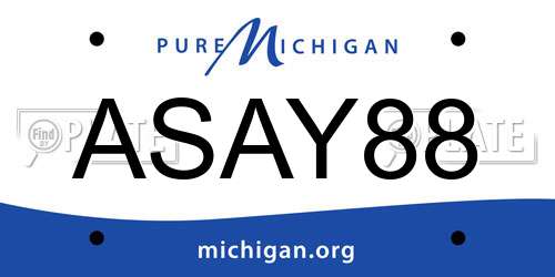 ASAY88 Michigan License Plate