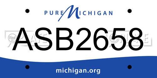 ASB2658 Michigan License Plate