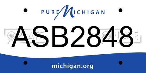 ASB2848 Michigan License Plate