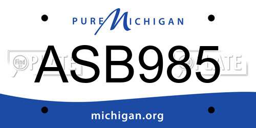 ASB985 Michigan License Plate