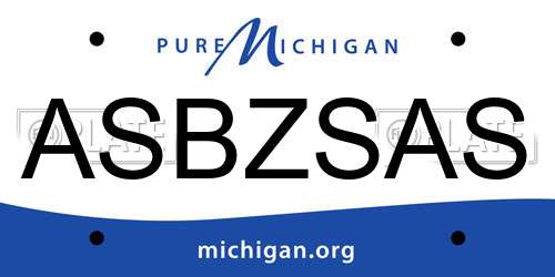 ASBZSAS Michigan License Plate